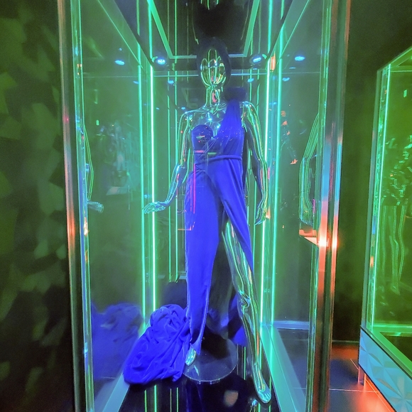 Meet your Posher, Elle - Picture 9 of 11